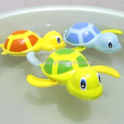 Baby turtles can swim, baby turtles can swim, baby turtles can swim, baby turtles can swim, baby turtles can s