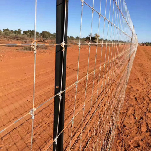 50 ledelong deer net deer breeding net deer breeding fence net ring buckle anti-deer net