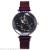 Hot style Korean web celebrity star crystal face fashion creative magnet buckle watch