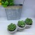 New Creative Plaster Base Simulation Succulent Candle Smokeless Candles Ornaments