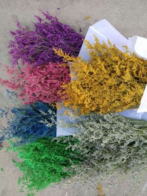 Limonium statice. Dried Flowers. Preserved fresh flower. Artificial Flower