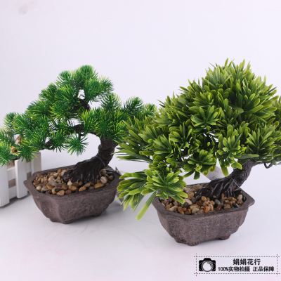 Indoor simulation of plant potted living room floor plant decoration pieces