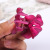 2019 New Wholesale Korean Hair Accessories Small Size Hair Claws Grip Drop-Resistant Resin Hair Pin Bang Clip