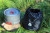 Manufacturers direct 4-5 sets of pot cooking pot outdoor camping picnic special pot
