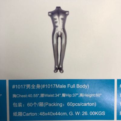 Plastic male body model