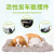 Large - sized car creative decorations simulation dog activated carbon car bamboo charcoal bag in the car fresh air plush toys