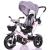 Three-wheeled cart electric bicycle kart scooter scooter twist car