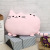 Creative new cartoon cat pillow cuddly doll plush toys for the children 's birthday gifts pillow manufacturers wholesale
