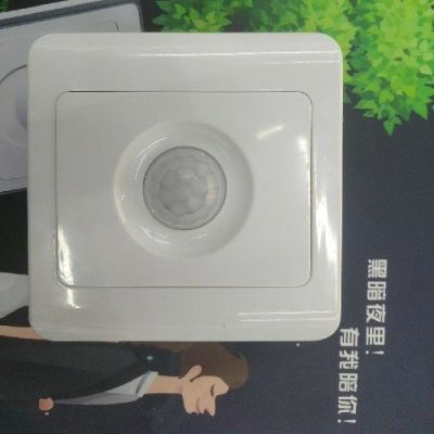 Human Body Sensing Panel Touch Panel Voice Control Panel Power Lamp Switch