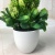Miniature miniature bonsai flowers small potted plant manufacturers direct simulation of flowers