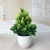 Miniature miniature bonsai flowers small potted plant manufacturers direct simulation of flowers