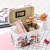 Large Capacity Multi-Functional Portable Cosmetic Case Cute Girl Large and Medium Size 2-Piece Set Cosmetic Storage Box