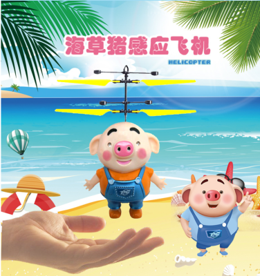 Will be toy seaweed pig induction aircraft with USB charging luminous express pig toy manufacturers direct