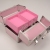 Guanyu sweet pink portable multifunctional storage box, high-grade aluminum portable cosmetic case