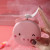New cartoon piggy makeup mirror charging fan LED lamp pocket fan easy to carry outdoors in summer