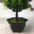 Mini simulation bonsai flower small pot manufacturers direct simulation of flower plants