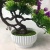 Mini simulation bonsai flower small pot manufacturers direct simulation of flower plants