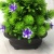 Mini simulation bonsai flower small pot manufacturers direct simulation of flower plants