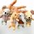 4-Inch Small Goods Pendant 10-15cm Various Animals Doll Keychain Wedding Event Gift Plush Toys