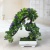 Mini simulation bonsai flower small pot manufacturers direct simulation of flower plants