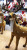 Sika deer Christmas interior decoration party decorations with a height of 35cm
