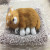 Cute decoration cat dog car decoration bamboo charcoal formaldehyde odor simulation decoration