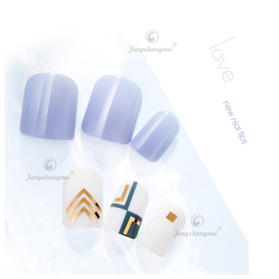 2019 Internet Celebrity Customized Hot-Selling Wearable Nail Sticker ABS Fake Nails