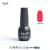 E & A Factory Direct Sales Frosted and Matte Environmental Protection UV Nail Oil Adhesive Authentic