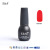E & A Factory Direct Sales Frosted and Matte Environmental Protection UV Nail Oil Adhesive Authentic
