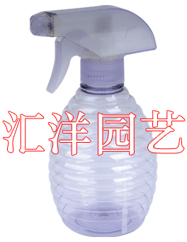 Transparent Bottle Portable Spray Hydrating Plastic Bottle