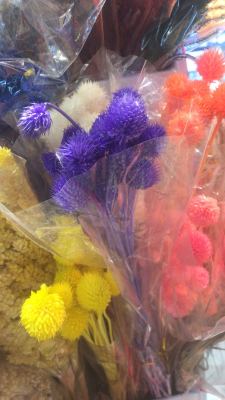 Gomphrena Globosa Dried Flowers. Preserved fresh flower. Artificial Flower Decorative Material