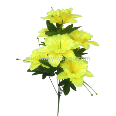 7 daffodils with pointed heads