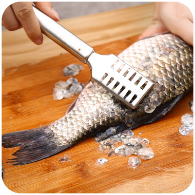 Creative scale shaver stainless steel quickly scale scaler kitchen to scale tool brush fish scale washboard