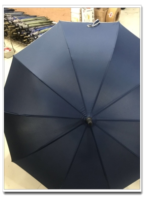 Straight Pole Umbrella Self-Opening Umbrella Umbrella for Two Persons Sunny and Rainy Golf Gift Umbrella