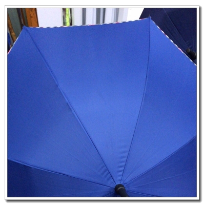 Wind Shielding Umbrella Double Business Automatic Umbrella Long Handle Oversized Golf Umbrella