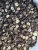 Mushroom Dry Goods Dried Mushrooms Commercial Bulk Dried Mushroom Chicken Braised with Brown Sauce Rice Ingredients