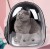Cat Bag Panoramic Transparent Pet Bag Portable Cat Backpack Space Capsule Travel Bag Dog Outing Supplies