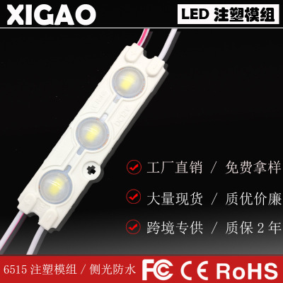 LEDmodule manufacturer wholesale led injection module 3led 1.5w 12V ip65 for advertising motorcycle car light 