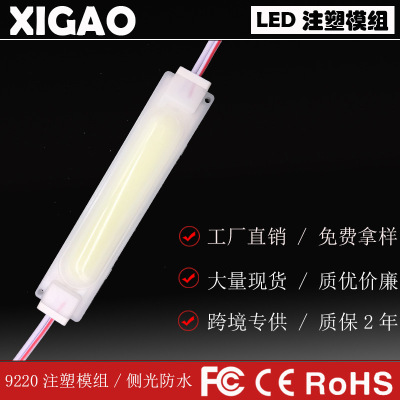 LED injection module manufacturer hot selling COB 2.4W 12V colorful lens for advertising sign motorcycle car light 