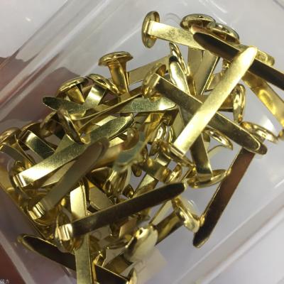 Gold long tail nail boxed stationery supplies metal nails wholesale