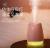 Dumb piggy usb humidifier mini desktop humidifier colorful night light humidifier