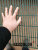 76 dense mesh guardrail 358 guardrail anti-climbing guardrail 3510 guardrail