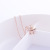 Korean Style Titanium Steel Rose Gold Plated Lucky Women's Short Clavicle Chain Fashion Exquisite Fashion Ornament Longevity Lock Necklace