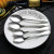 Delicate stainless steel spoon, family spoon, fruit ice cream spoon, ice cream spoon