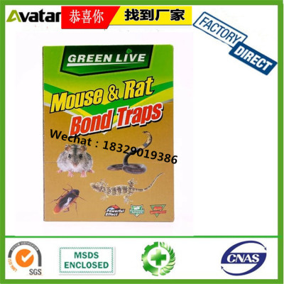 GREEN LIVE Mouse Trap Cockroach Rat Glue And Glue Trap,Paper Board Mouse Glue Trap with cheap prcie