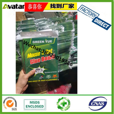 GREEN YUE Low price rat sticky traps high quality mouse glue boards