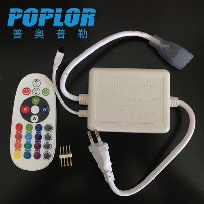LED lamp with power plug RGB lamp with power cord 220V can be equipped with 50m lamp with remote control