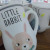 Small animal kingdom cartoon ceramic water cup cute family drinking cup couple (72 sets)
