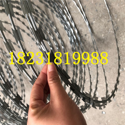 hot dipped razor barbed wire (bto22 cbt65),50cm razor wire