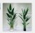 Nordic web celebrity simulation traveler banana simulation canna plant potted large floor decoration fake bonsai